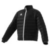 ADIDAS PERFORMANCE Entrada- Chaqueta De Invierno - Schwarz
