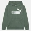 Puma Big Logo Hoodie Unisex - Jersey Con Capucha - Eucalyptus -Tienda De Moda Juvenil 281c9891857b48b1988b59bb9453d948