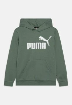 Puma Big Logo Hoodie Unisex - Jersey Con Capucha - Eucalyptus