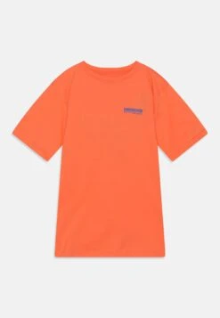 Patagonia Graphic Unisex - Camiseta Estampada - Coho Coral