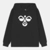 Hummel Cuatro- Jersey Con Capucha - Black -Tienda De Moda Juvenil 86b1f3c3b66a4138ac3d9a04dd6ffd18