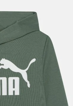 Puma Big Logo Hoodie Unisex - Jersey Con Capucha - Eucalyptus -Tienda De Moda Juvenil a5963ffeada543398a7c92bbc3285ed5