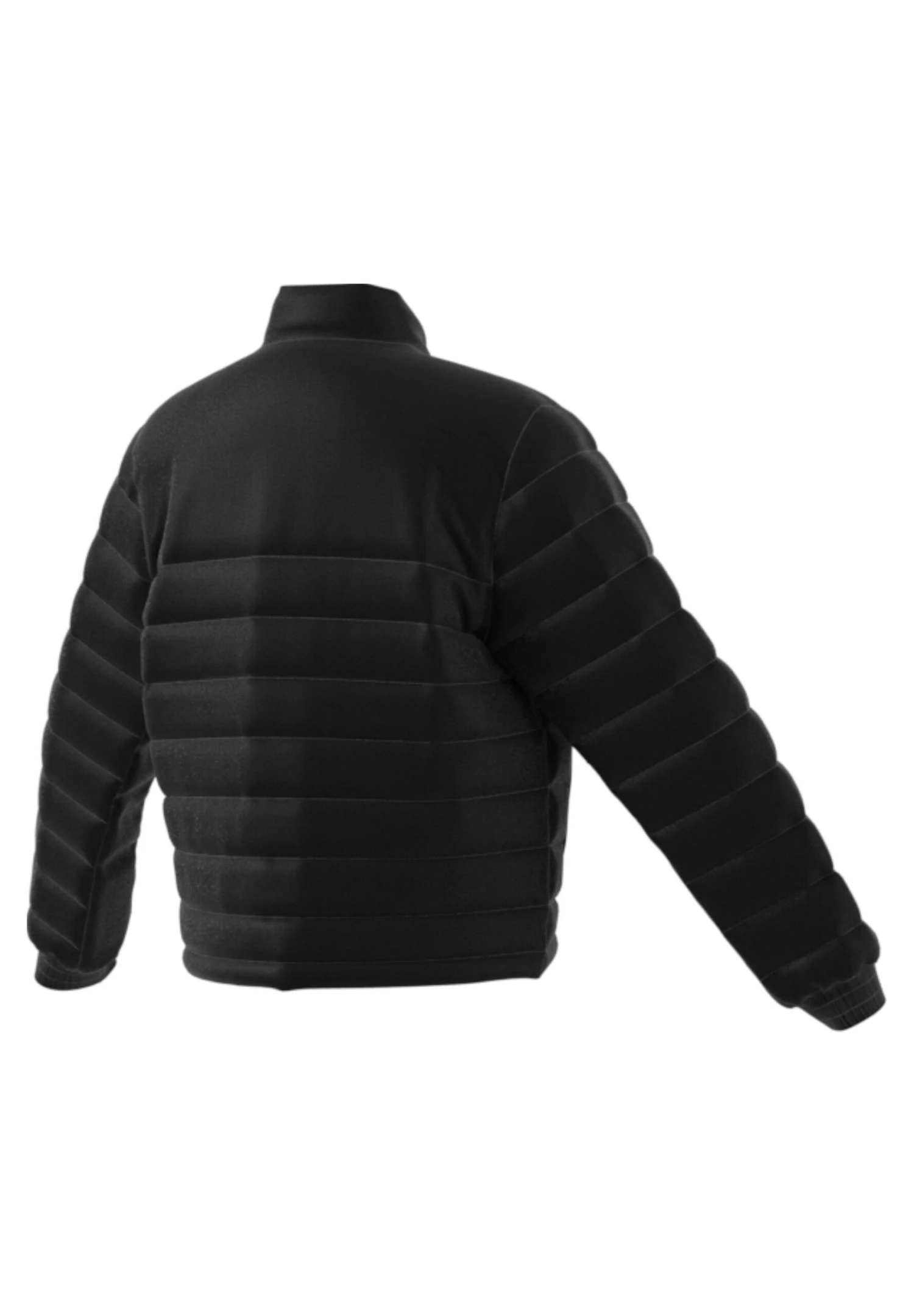 ADIDAS PERFORMANCE Entrada- Chaqueta De Invierno - Schwarz 4 ADIDAS PERFORMANCE Entrada- Chaqueta De Invierno - Schwarz - Imagen 2