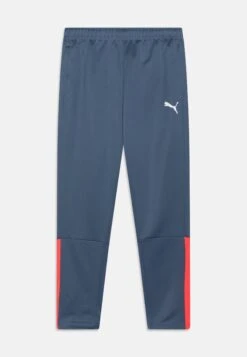 Puma Teamliga Training Jr Unisex - Pantalones Deportivos - Inky Blue/Fire Orchid