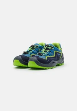 Lowa Robin Evo Gtx Unisex - Zapatillas De Senderismo - Navy/Lime -Tienda De Moda Juvenil e5815bbba14e406dbc7db7388f7ff36a